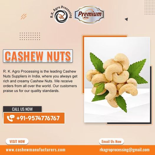 Cashew Nut Suppliers